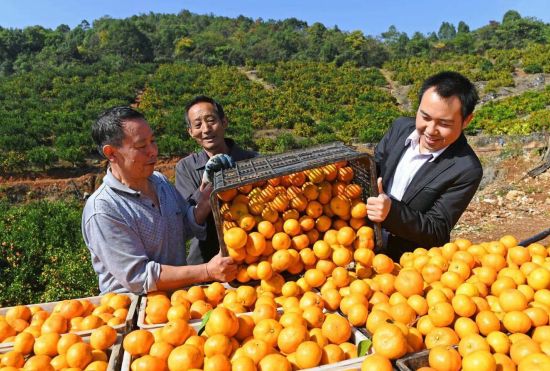 米兰体育-关于农村足球“兴起”推动乡村振兴，青训行业持续发力基层的信息