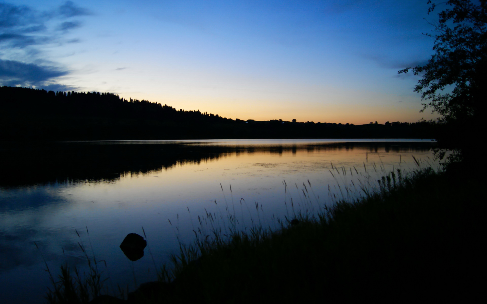 勇士逆转雄鹿,系列赛焦点战中库里三分雨不断,组图_勇士逆转雄鹿 库里遭严防字母哥兄弟