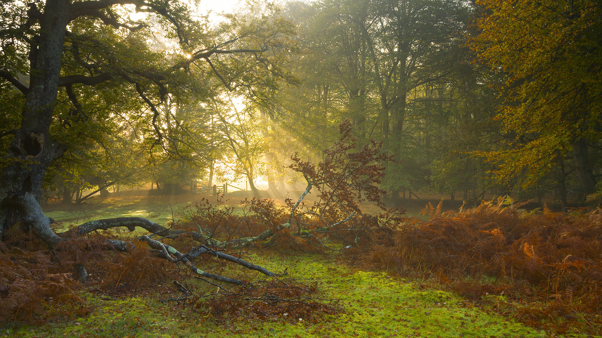 塞尔塔交战表现抢眼,或成球队功臣,塞尔塔b队
