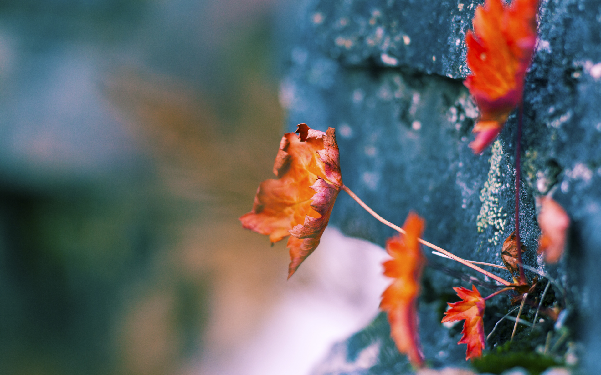 拜仁慕尼黑火力全开,晋级形势一片大好,拜仁慕尼黑吧!