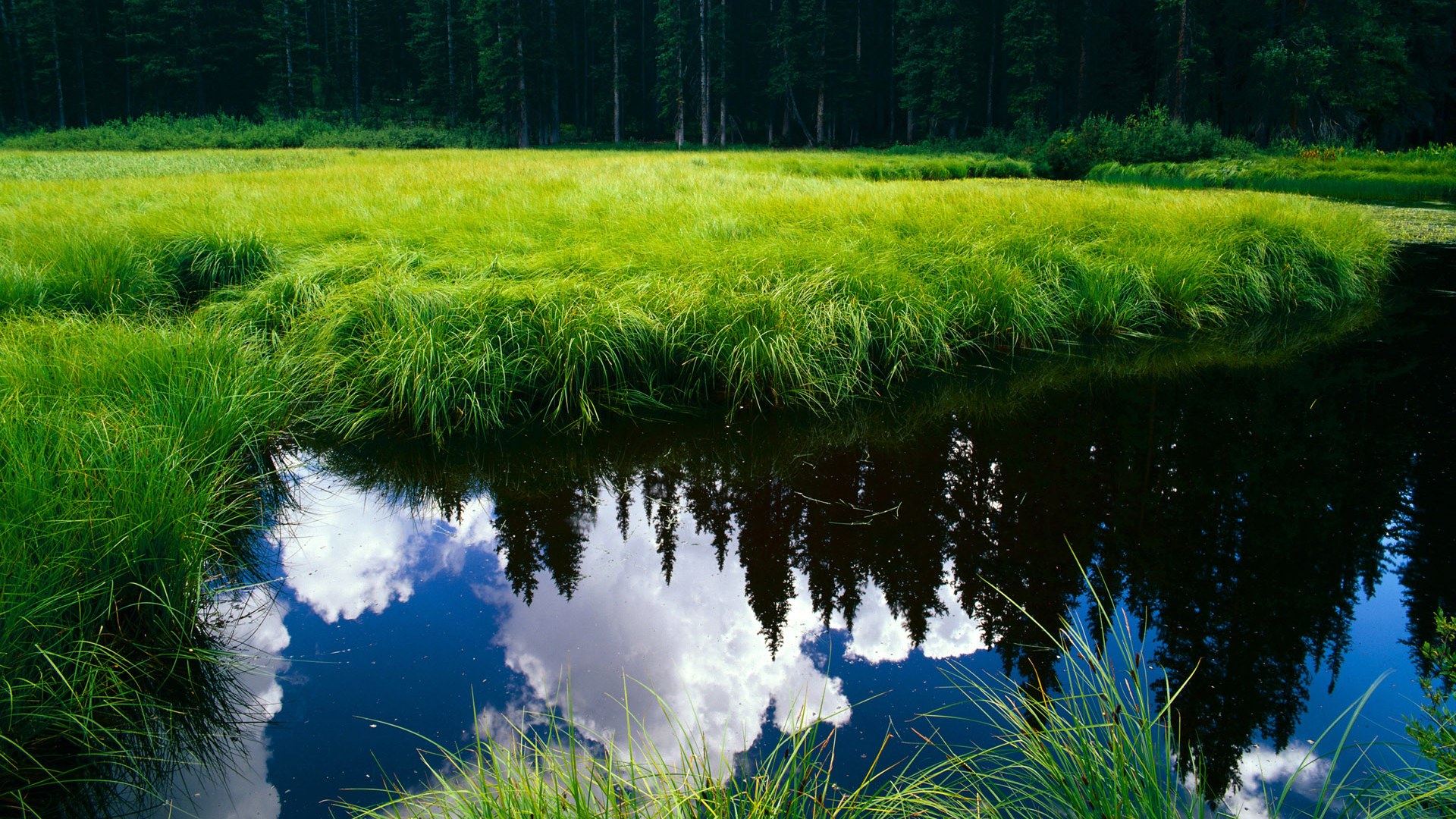 米兰体育下载-球员技术练习精益求精，进步明显可见，球员训练方法