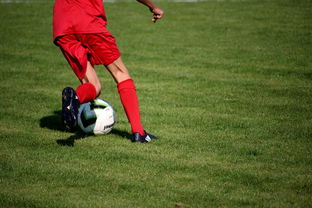 米兰体育app网址-NBA球队青训体系建设与人才储备，nba青年队