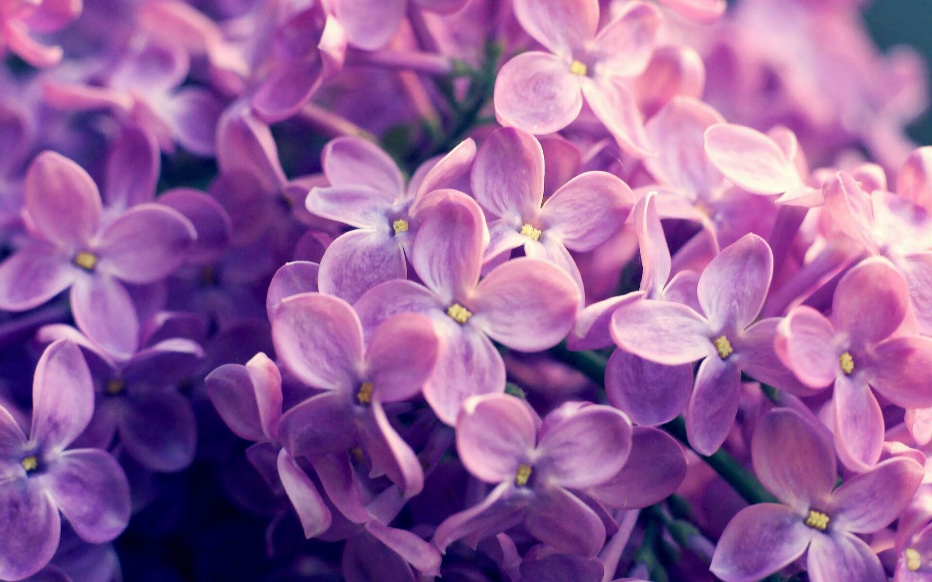 milan.com-拉恩：凭借速度和爆发力，他在全黑队反击战术中总能制造奇迹，拉恩vs费雷拉