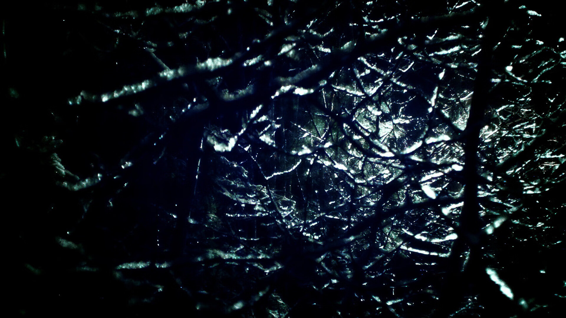 米兰体育APP在线-欧洲杯激情绽放：战术与技术的商务合作领袖，欧洲杯详解