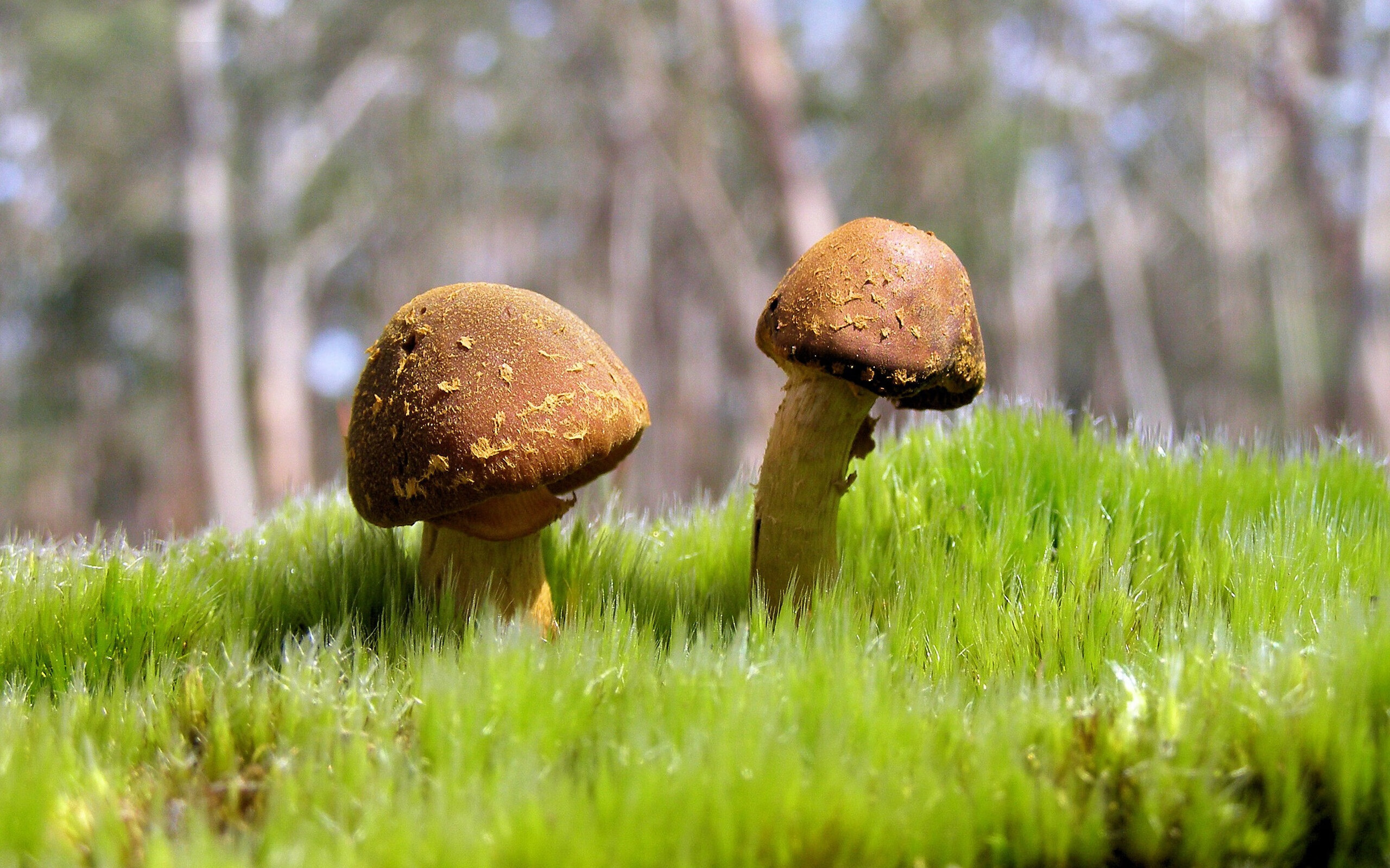 米兰体育APP网页版-高校篮球引入体能评分机制辅助教练调整训练内容，大学体育篮球考核标准