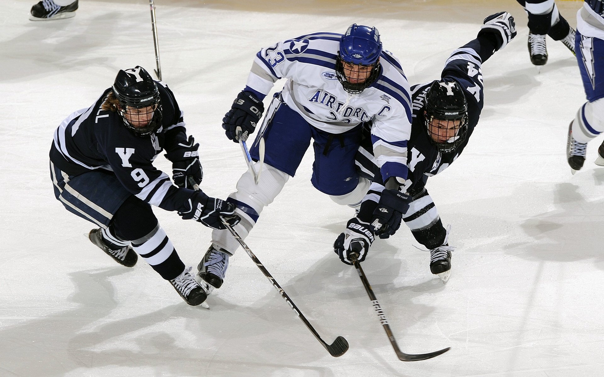 _运动员身体健康与运动表现关系探究_，运动员身体状况