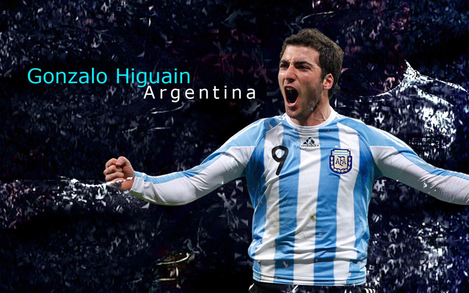 世界马拉松大满贯赛事之一成功举办，运动员创佳绩，世界马拉松大满贯官网