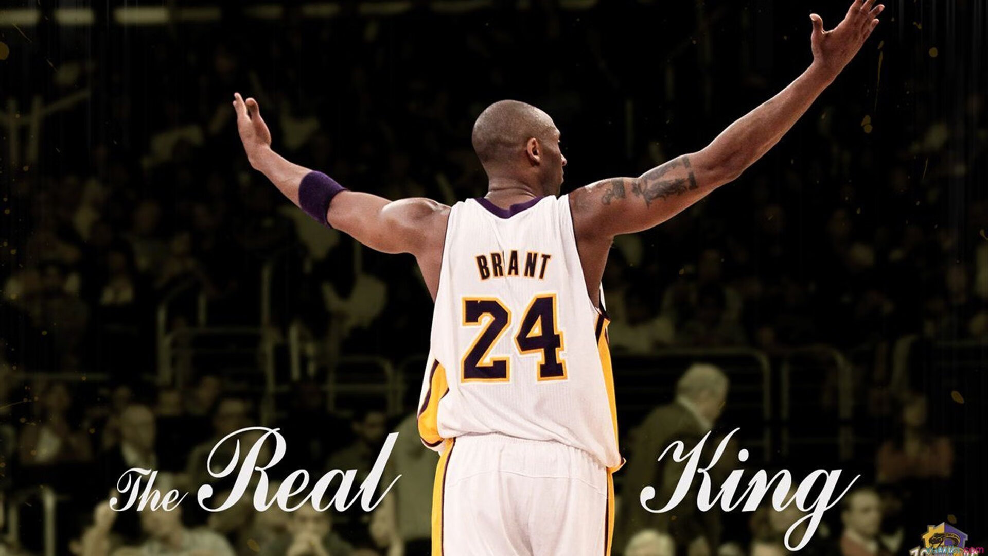 快船启用“空气净化地板”，提供球员最优呼吸环境